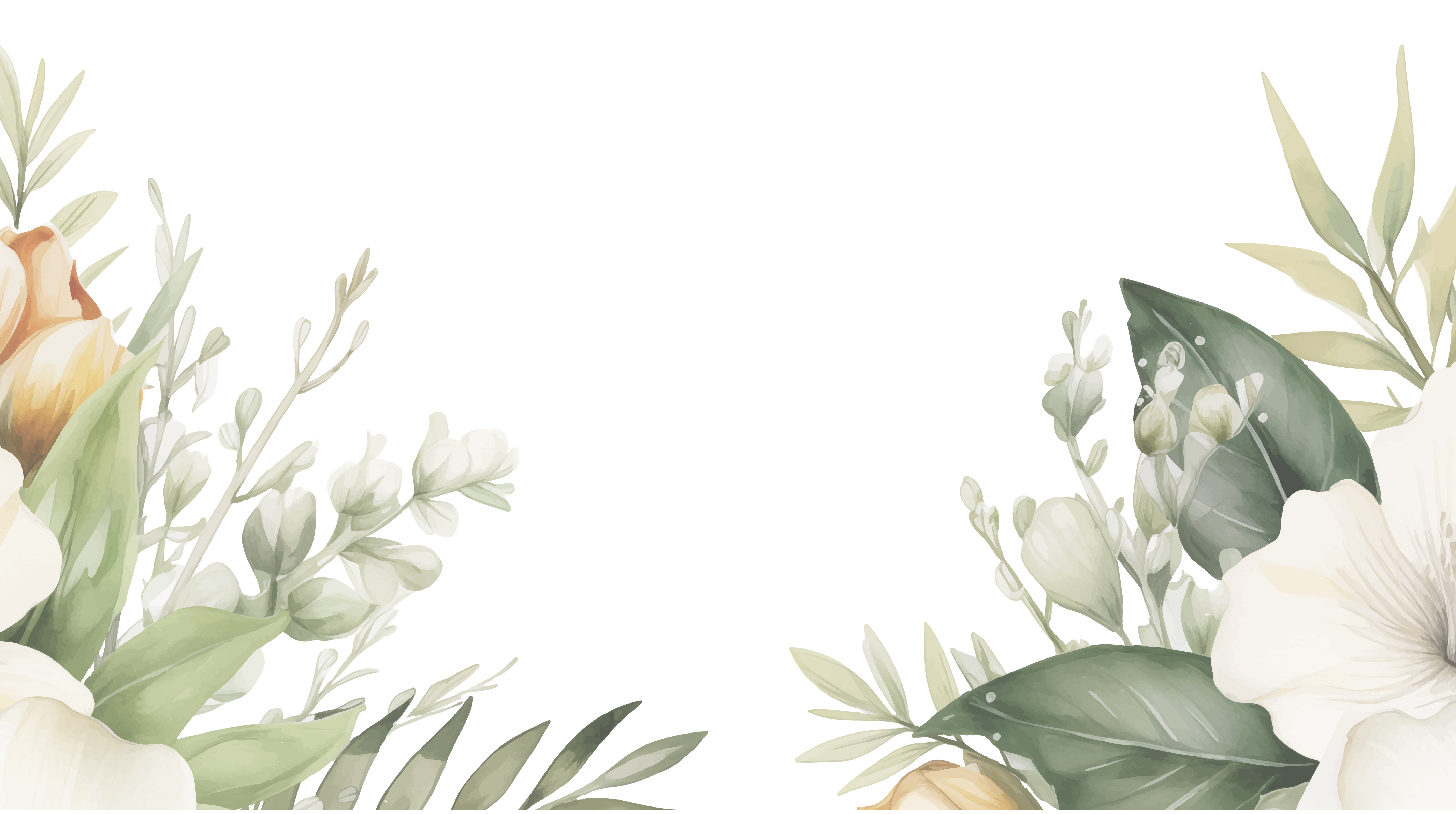bottom-bg