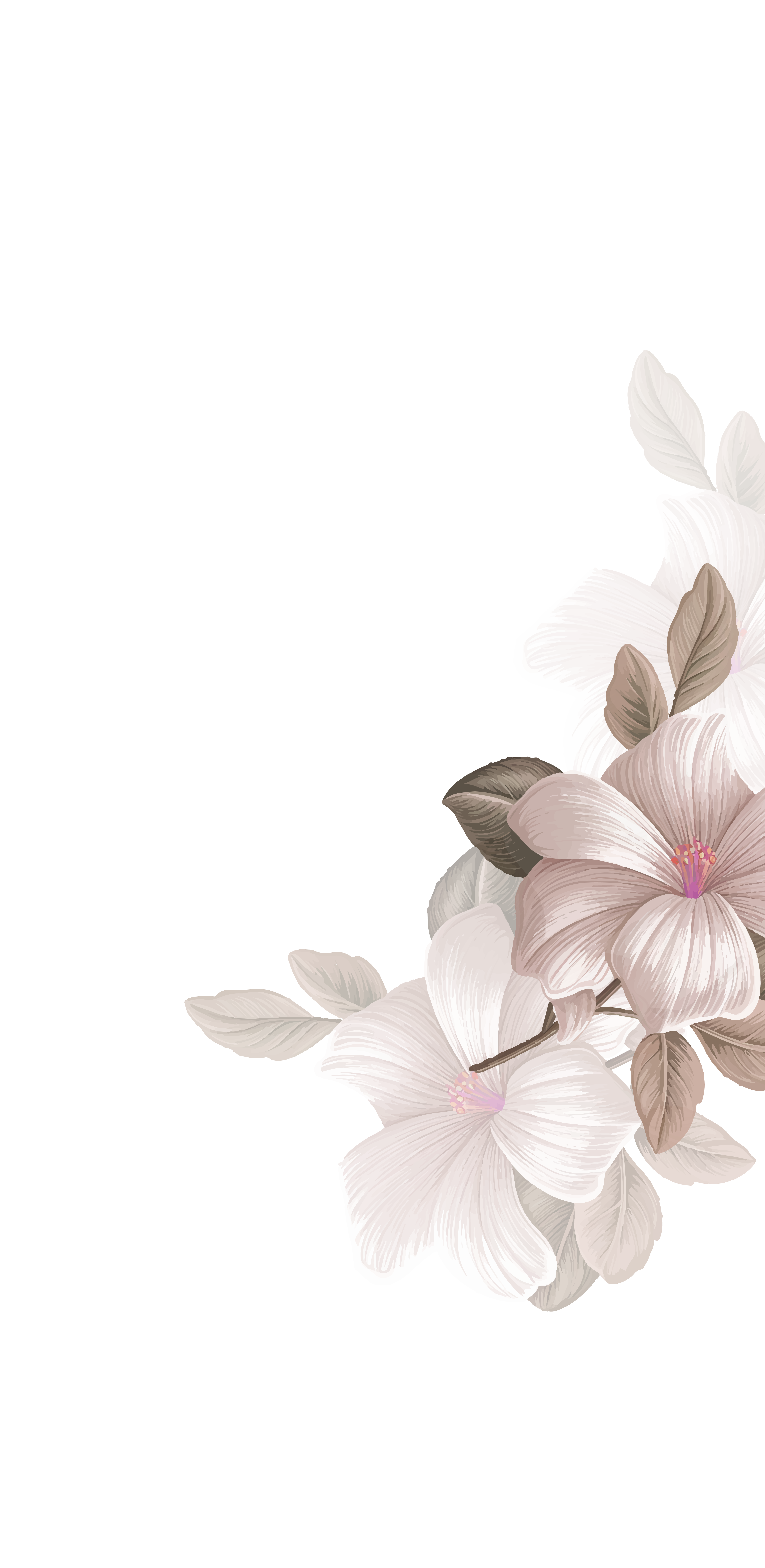 footer-img